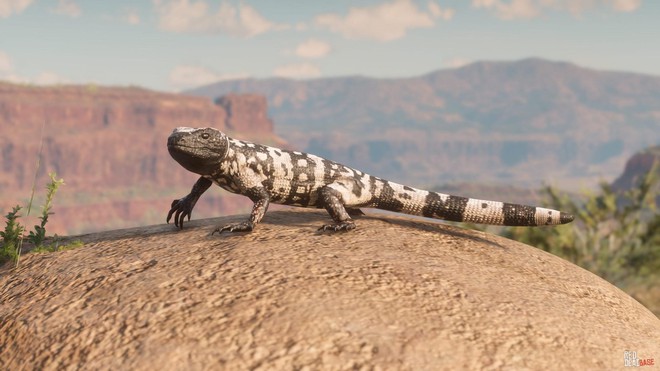 Giảng viên xuất bản nghiên cứu khẳng định: game thủ Red Dead Redemption 2 có nhận thức tốt hơn về tự nhiên - Ảnh 3. Giảng viên xuất bản nghiên cứu khẳng định: game thủ Red Dead Redemption 2 có nhận thức tốt hơn về tự nhiên - Ảnh 3.