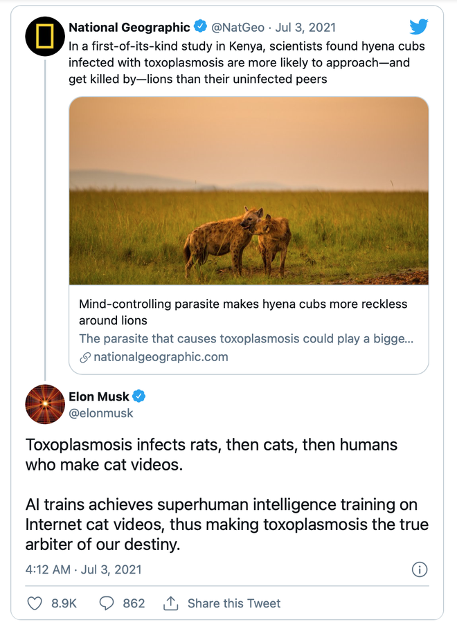 Elon Musk cho rằng ký sinh trùng tẩy não khiến con người tạo ra AI - Ảnh 1.
