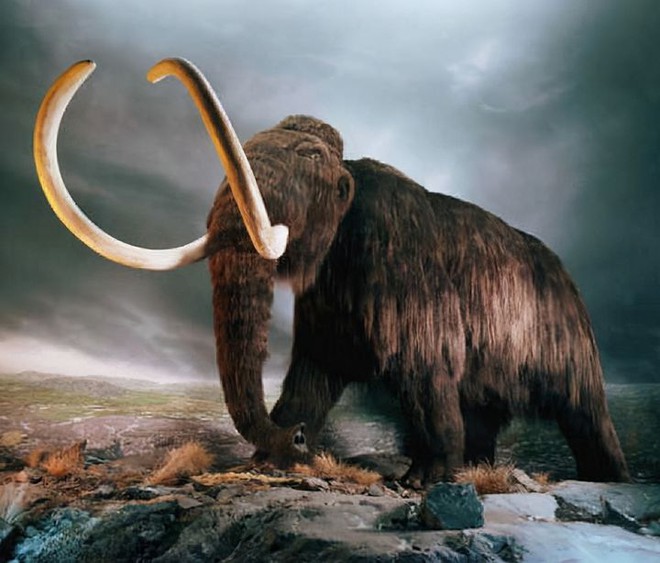 Ngày càng nhiều sinh vật tiền sử xuất hiện ở Bắc Cực, có những loài đã có niên đại 50.000 năm tuổi! - Ảnh 3.