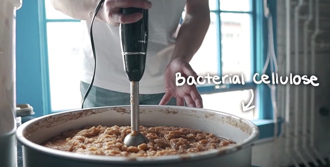 Chàng sinh viên tạo ra gỗ từ phế phẩm của trà kombucha, hứa hẹn giải cứu mảng xanh của hành tinh - Ảnh 2. Chàng sinh viên tạo ra gỗ từ phế phẩm của trà kombucha, hứa hẹn giải cứu mảng xanh của hành tinh - Ảnh 2.
