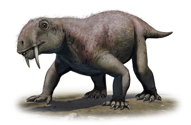 Nghiên cứu hóa thạch cho thấy không phải tất cả động vật có răng kiếm đều là động vật săn mồi - Ảnh 1.