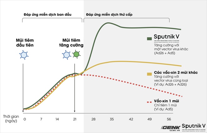 Vắc-xin Sputnik V: Công nghệ, độ an toàn và hiệu quả, khả năng chống biến thể Delta - Ảnh 4.
