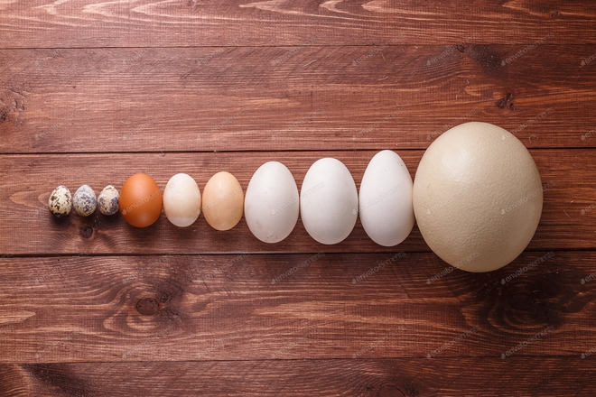So sánh thành phần dinh dưỡng của trứng gà, trứng vịt, trứng cút ... loại nào bổ dưỡng nhất? - Ảnh 1.
