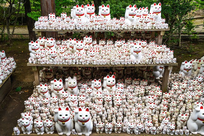 Maneki-Neko là gì? Hãy khám phá nguồn gốc hấp dẫn của chú mèo may mắn đến từ Nhật Bản - Ảnh 9. Maneki-Neko là gì? Hãy khám phá nguồn gốc hấp dẫn của chú mèo may mắn đến từ Nhật Bản - Ảnh 9.
