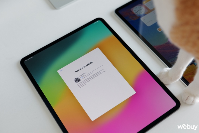 iPad Pro bán chạy nhất thế giới: Hoá ra là nhờ lý do này- Ảnh 5.