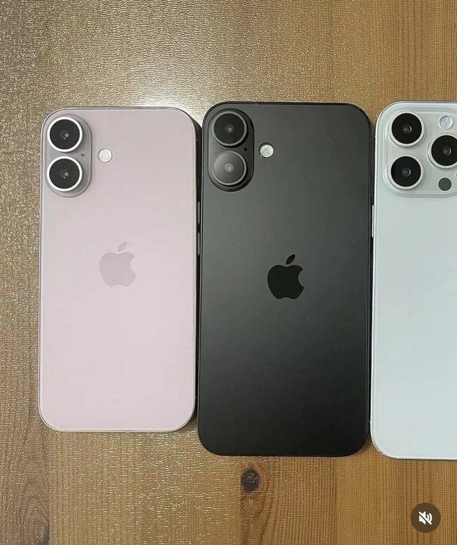 Rò rỉ hình ảnh iPhone 16 màu hồng siêu xinh, không chốt đơn thì lại quá phí!- Ảnh 9. Rò rỉ hình ảnh iPhone 16 màu hồng siêu xinh, không chốt đơn thì lại quá phí!- Ảnh 9.