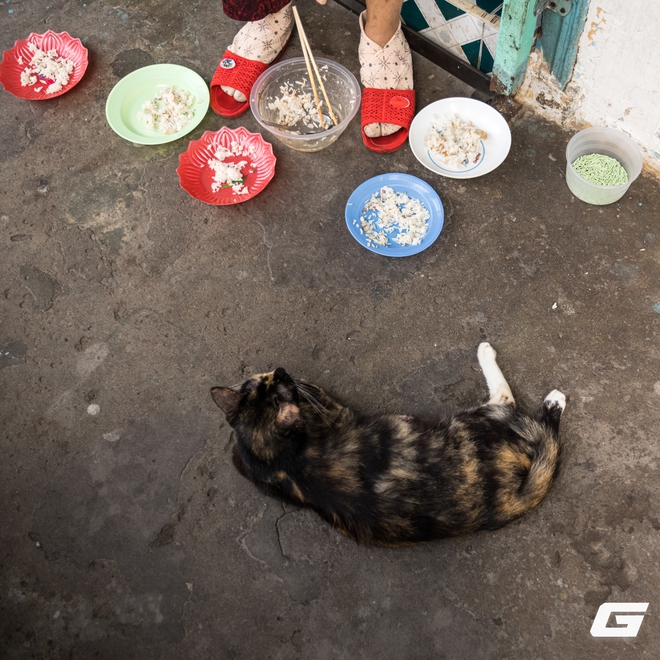 Leica M EV1- Khi biểu tượng từ bỏ kính ngắm quang học: Cú chuyển mình hay lời tạm biệt di sản?- Ảnh 16. Leica M EV1- Khi biểu tượng từ bỏ kính ngắm quang học: Cú chuyển mình hay lời tạm biệt di sản?- Ảnh 16.