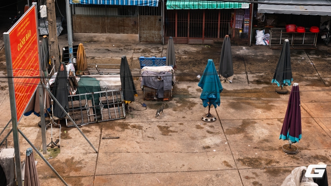 Leica M EV1- Khi biểu tượng từ bỏ kính ngắm quang học: Cú chuyển mình hay lời tạm biệt di sản?- Ảnh 13. Leica M EV1- Khi biểu tượng từ bỏ kính ngắm quang học: Cú chuyển mình hay lời tạm biệt di sản?- Ảnh 13.