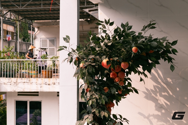 Cảm nhận về Sigma BF: Chiếc máy ảnh lạ lùng nhất thời hiện đại và tôi lại thích nó theo một cách khó hiểu - Ảnh 18.