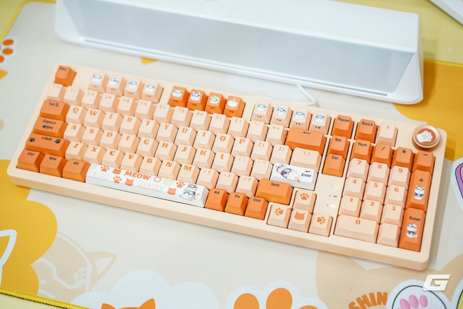 COLORFUL mang loạt sản phẩm mới tới Computex 2025: Từ PC chơi game cao cấp đến laptop hiệu năng cao, thiết kế lấy cảm hứng từ mèo- Ảnh 12. COLORFUL mang loạt sản phẩm mới tới Computex 2025: Từ PC chơi game cao cấp đến laptop hiệu năng cao, thiết kế lấy cảm hứng từ mèo- Ảnh 12.
