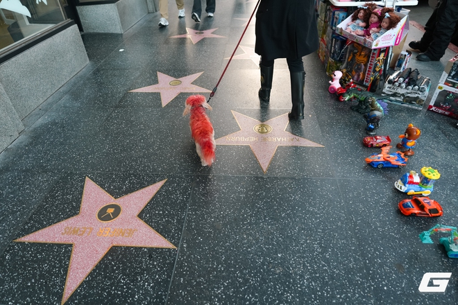 Tr&ecirc;n tay v&agrave; trải nghiệm nhanh Sony A7 V: Khi d&ograve;ng A7 "quốc d&acirc;n" chạm ngưỡng cao cấp - Ảnh 20.