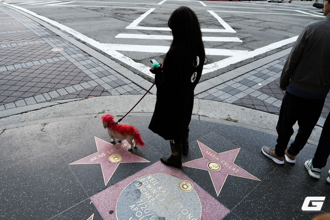 Tr&ecirc;n tay v&agrave; trải nghiệm nhanh Sony A7 V: Khi d&ograve;ng A7 "quốc d&acirc;n" chạm ngưỡng cao cấp - Ảnh 19.