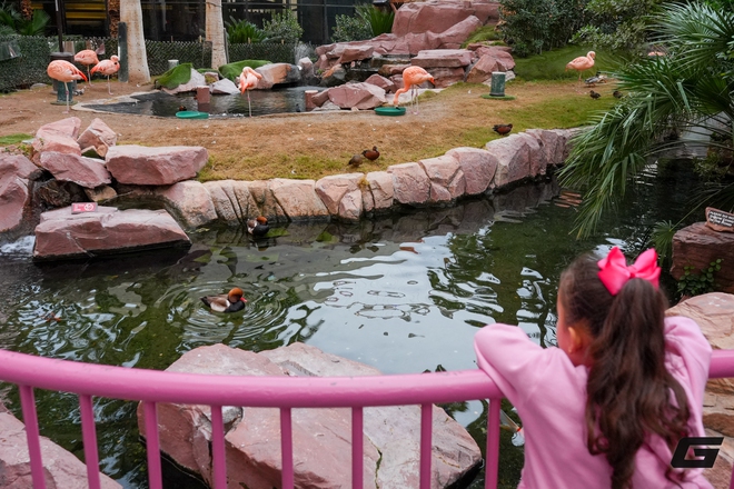 Tr&ecirc;n tay v&agrave; trải nghiệm nhanh Sony A7 V: Khi d&ograve;ng A7 "quốc d&acirc;n" chạm ngưỡng cao cấp - Ảnh 40.