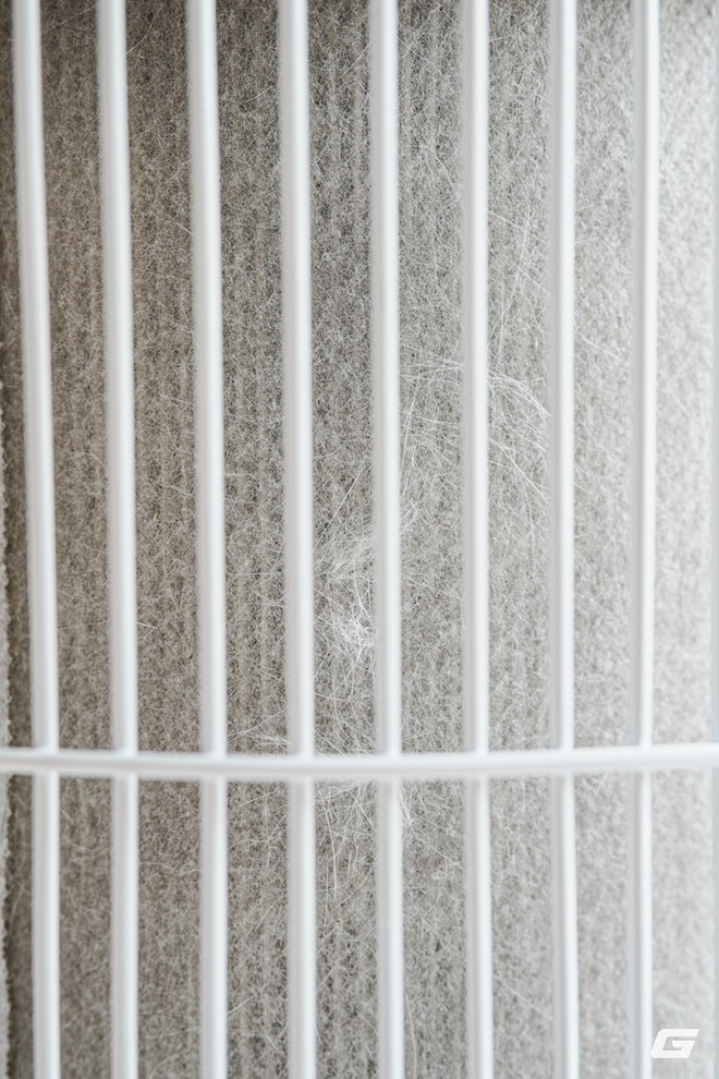 Dùng thử Kumi PureSense KP460: Máy lọc không khí gần 5 triệu, hút lông và giảm mùi ra sao trong nhà có 2 chú mèo? - Ảnh 10.