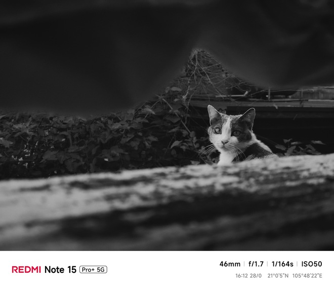 Hoa mai anh đ&agrave;o, m&acirc;y, sương m&ugrave; v&agrave; REDMI Note 15 Pro  - Ảnh 48.