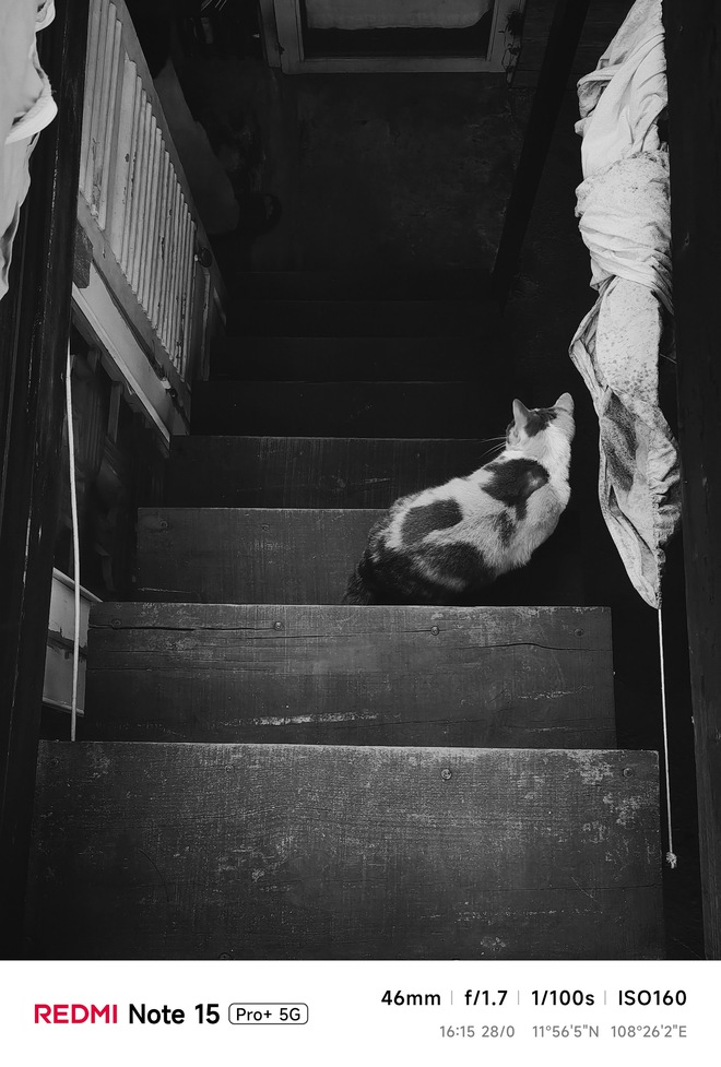 Hoa mai anh đ&agrave;o, m&acirc;y, sương m&ugrave; v&agrave; REDMI Note 15 Pro  - Ảnh 47.