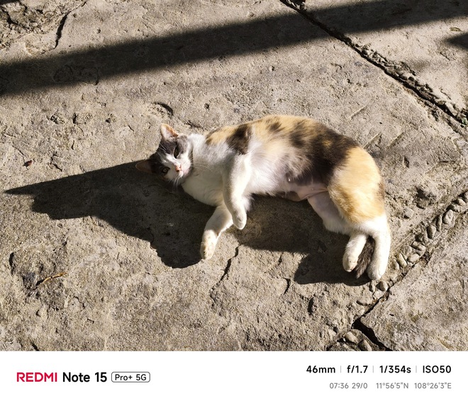 Hoa mai anh đ&agrave;o, m&acirc;y, sương m&ugrave; v&agrave; REDMI Note 15 Pro  - Ảnh 41.