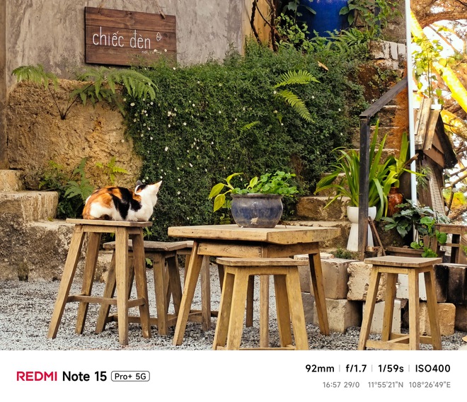 Hoa mai anh đ&agrave;o, m&acirc;y, sương m&ugrave; v&agrave; REDMI Note 15 Pro  - Ảnh 44.