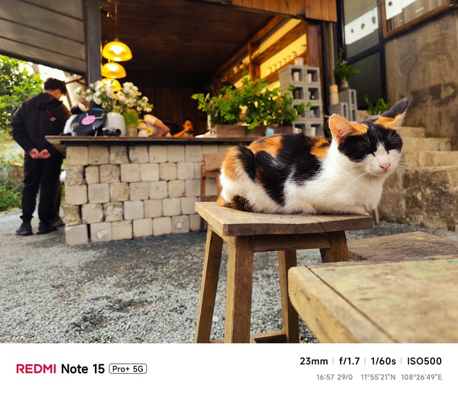 Hoa mai anh đ&agrave;o, m&acirc;y, sương m&ugrave; v&agrave; REDMI Note 15 Pro  - Ảnh 40.