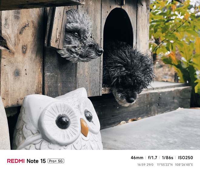 Hoa mai anh đ&agrave;o, m&acirc;y, sương m&ugrave; v&agrave; REDMI Note 15 Pro  - Ảnh 45.