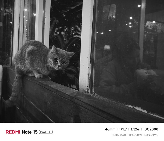 Hoa mai anh đ&agrave;o, m&acirc;y, sương m&ugrave; v&agrave; REDMI Note 15 Pro  - Ảnh 46.