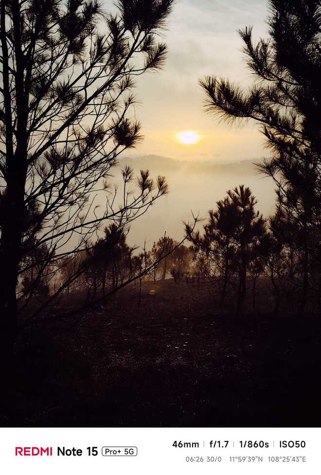 Hoa mai anh đ&agrave;o, m&acirc;y, sương m&ugrave; v&agrave; REDMI Note 15 Pro  - Ảnh 4.