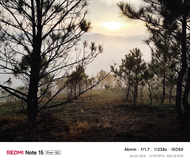 Hoa mai anh đ&agrave;o, m&acirc;y, sương m&ugrave; v&agrave; REDMI Note 15 Pro  - Ảnh 6.