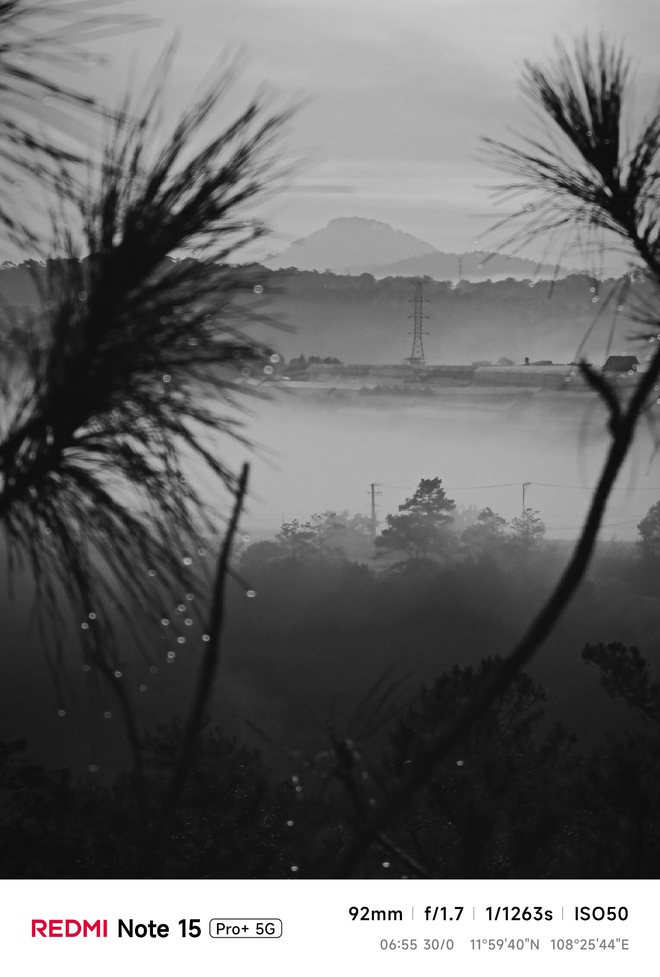 Hoa mai anh đ&agrave;o, m&acirc;y, sương m&ugrave; v&agrave; REDMI Note 15 Pro  - Ảnh 25.