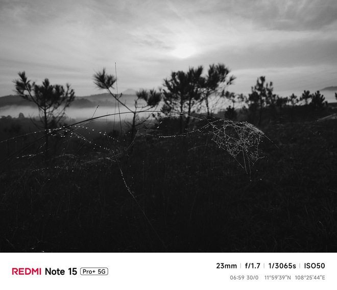 Hoa mai anh đ&agrave;o, m&acirc;y, sương m&ugrave; v&agrave; REDMI Note 15 Pro  - Ảnh 23.