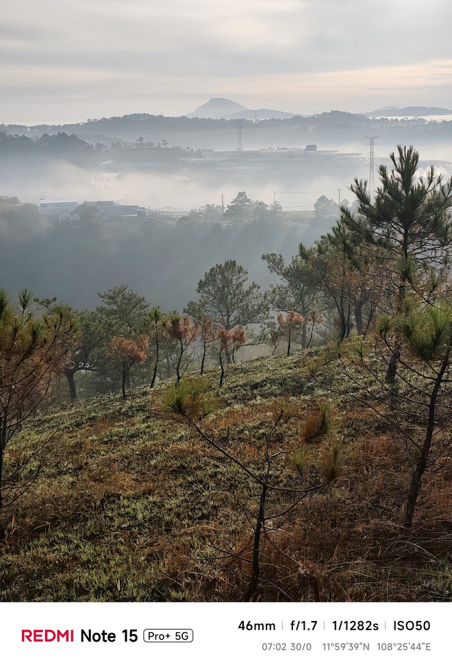 Hoa mai anh đ&agrave;o, m&acirc;y, sương m&ugrave; v&agrave; REDMI Note 15 Pro  - Ảnh 22.