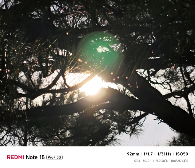 Hoa mai anh đ&agrave;o, m&acirc;y, sương m&ugrave; v&agrave; REDMI Note 15 Pro  - Ảnh 7.