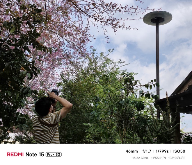 Hoa mai anh đ&agrave;o, m&acirc;y, sương m&ugrave; v&agrave; REDMI Note 15 Pro  - Ảnh 28.