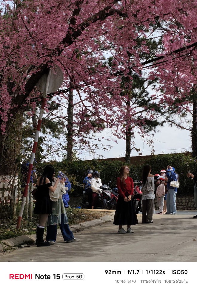 Hoa mai anh đ&agrave;o, m&acirc;y, sương m&ugrave; v&agrave; REDMI Note 15 Pro  - Ảnh 31.