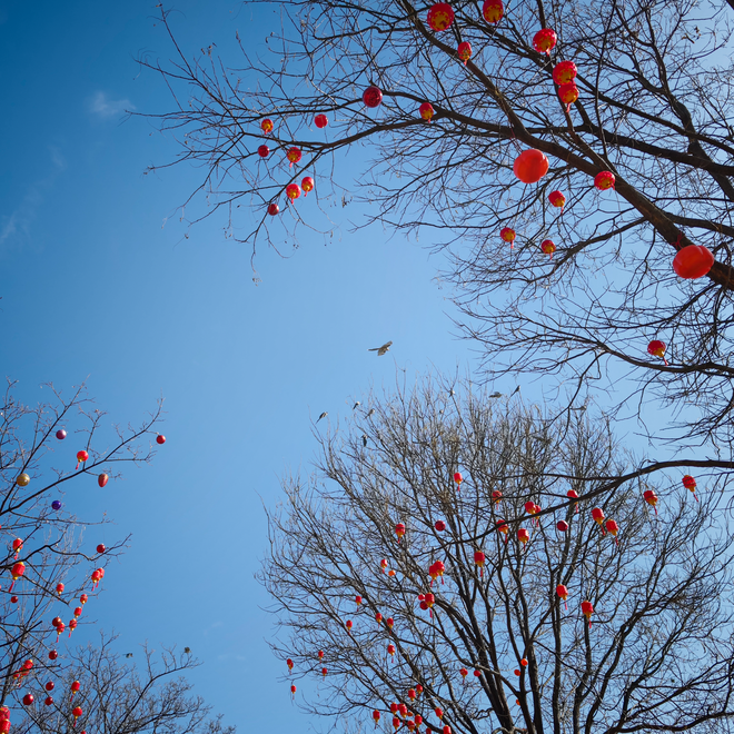 Gi&aacute;m đốc mảng Camera của Xiaomi: Mối quan hệ hợp t&aacute;c của ch&uacute;ng t&ocirc;i với Leica bắt nguồn từ một triết l&yacute; chung - mang linh hồn trở lại với nhiếp ảnh di động - Ảnh 24.