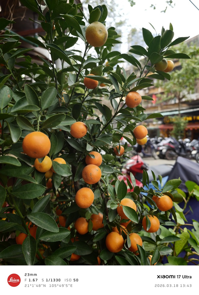 Xiaomi 17 Ultra "v&aacute;c" cảm biến 1 inch đi so với iPhone 17 Pro Max, kết quả khiến ai cũng phải nghĩ lại về điểm DxOMark - Ảnh 6.