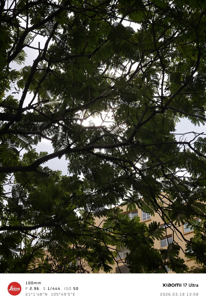 Xiaomi 17 Ultra "v&aacute;c" cảm biến 1 inch đi so với iPhone 17 Pro Max, kết quả khiến ai cũng phải nghĩ lại về điểm DxOMark - Ảnh 10.