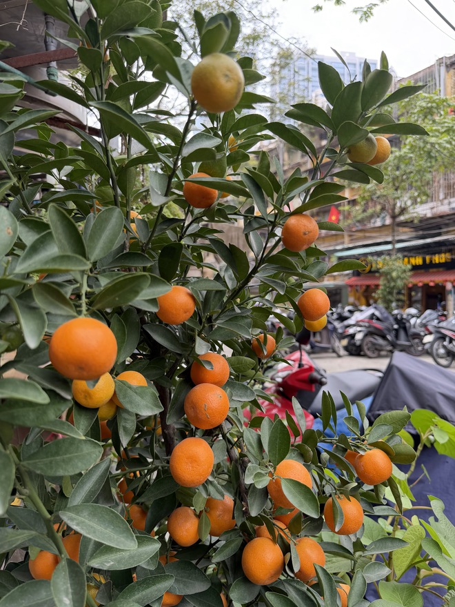 Xiaomi 17 Ultra "v&aacute;c" cảm biến 1 inch đi so với iPhone 17 Pro Max, kết quả khiến ai cũng phải nghĩ lại về điểm DxOMark - Ảnh 7.