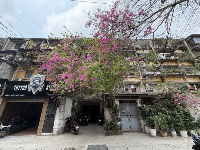 Xiaomi 17 Ultra "v&aacute;c" cảm biến 1 inch đi so với iPhone 17 Pro Max, kết quả khiến ai cũng phải nghĩ lại về điểm DxOMark - Ảnh 9.