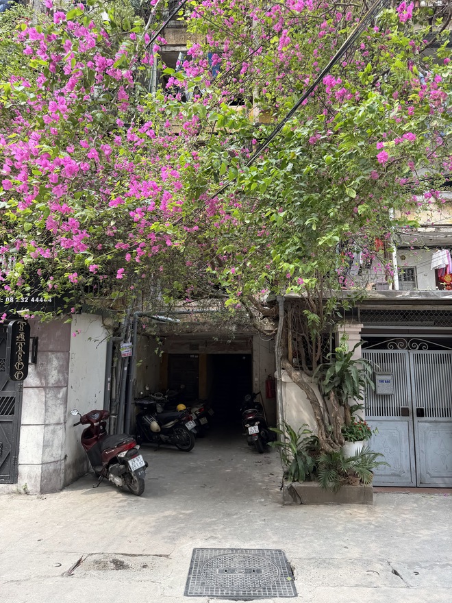 Xiaomi 17 Ultra "v&aacute;c" cảm biến 1 inch đi so với iPhone 17 Pro Max, kết quả khiến ai cũng phải nghĩ lại về điểm DxOMark - Ảnh 3.