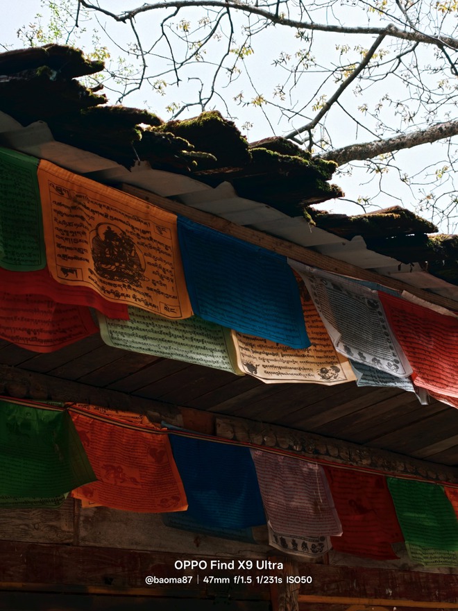 Mẫu phim Standard