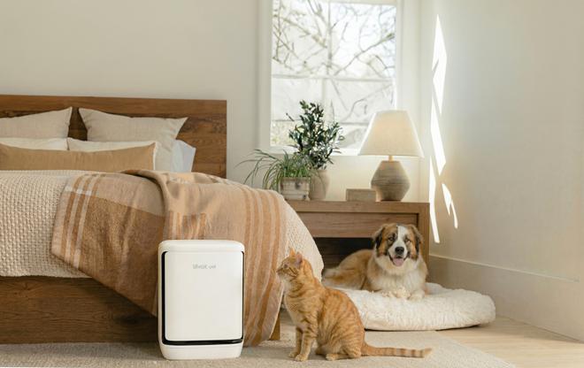 Levoit Vital Pet Pro ra mắt tại Việt Nam: Máy lọc không khí tự “gom” lông thú, xử lý cả mùi hôi - Ảnh 6.