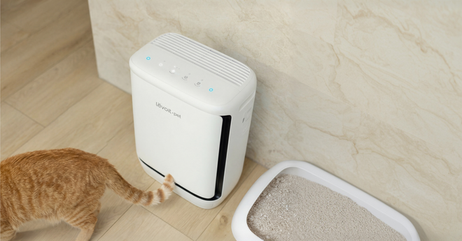 Levoit Vital Pet Pro ra mắt tại Việt Nam: Máy lọc không khí tự “gom” lông thú, xử lý cả mùi hôi - Ảnh 10.