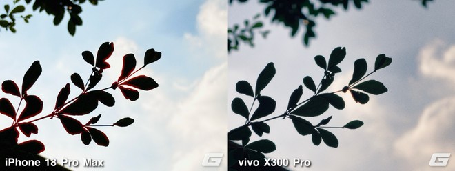 Tôi thử bộ lọc màu mới trên iPhone 18 Pro Max, so với vivo X300 Pro: Đều là giả lập film nhưng ảnh ra khác hoàn toàn - Ảnh 15.