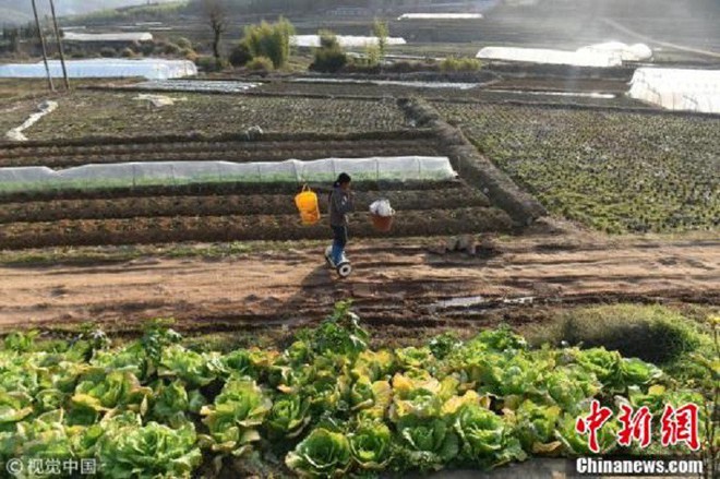 Chuyên dùng Hoverboard để ship rau, nữ nông dân nổi như cồn trên mạng xã hội Trung Quốc - Ảnh 3.