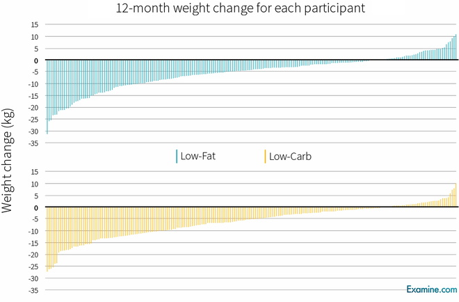 
Mô hình giảm cân của chế độ ăn low-fat và low-carb gần như giống nhau
