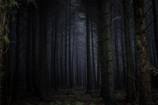 Lý thuyết Khu rừng bóng tối và lý do tại sao chúng ta vẫn chưa tìm thấy người ngoài hành tinh - Ảnh 1.
