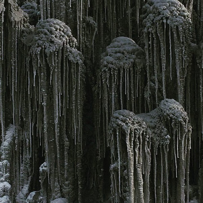 Hiện tượng kỳ lạ: Tuyết có màu đen rơi ở Siberia - Ảnh 3.