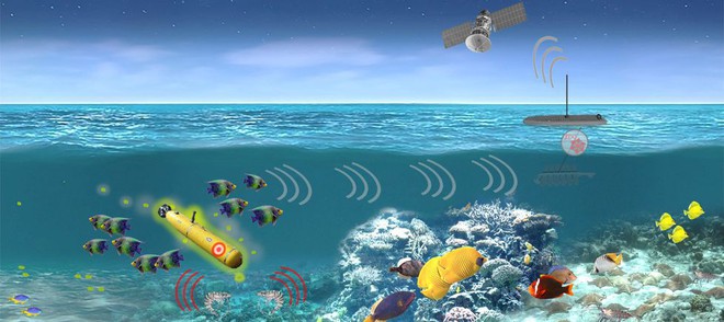 DARPA muốn biến hệ sinh thái biển thành cả một mạng lưới phát hiện tàu ngầm khổng lồ - Ảnh 1.