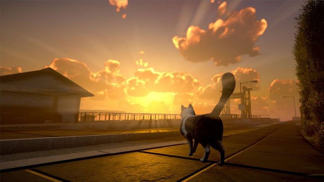 Game Indie nhập vai boss mèo đi giải cứu con sen mất tích gây sốt cộng đồng mạng, góp vốn 600k là sẽ được chơi sớm - Ảnh 5.