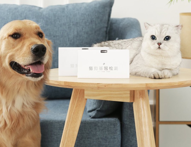 Xiaomi ra mắt bộ công cụ xét nghiệm phả hệ và sức khỏe thú cưng, giá 333.000 đồng - Ảnh 2.